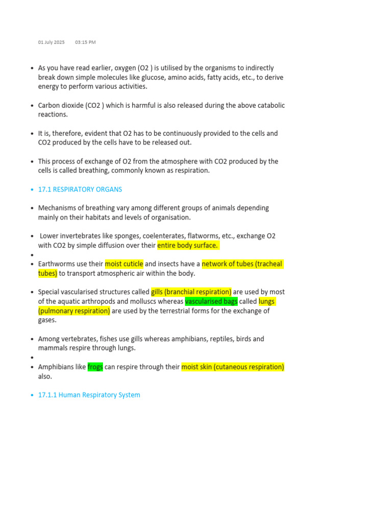 Breathing Ncert Points | PDF