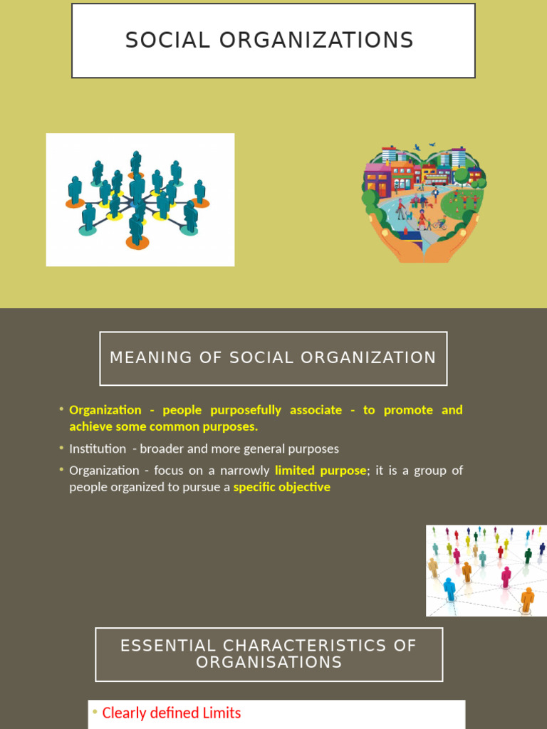 Characteristics of Social Organizations | PDF