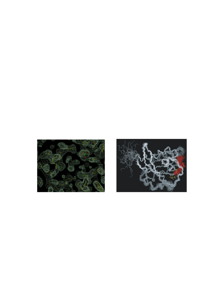 Protein Structure Prediction Methods | PDF | Sequence Alignment ...