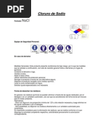 Hojas de Seguridad Practica #10