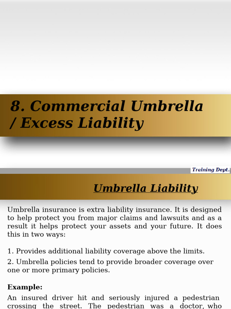 Commercial Umbrella & Excess Liability Guide | PDF | Liability ...