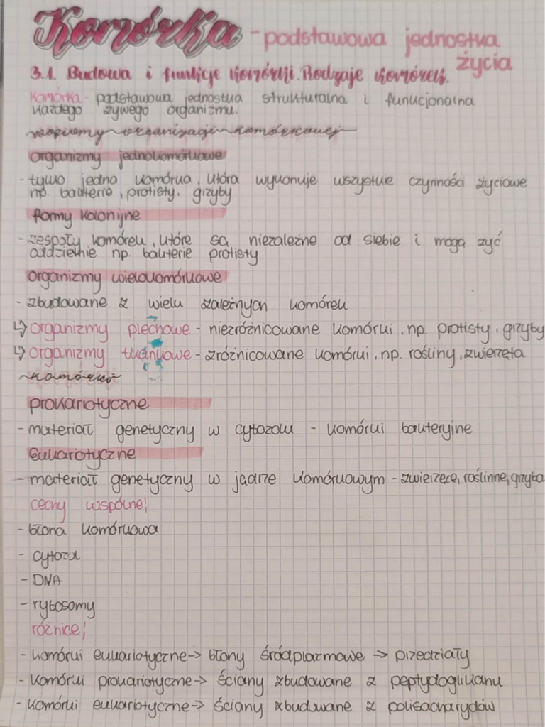Notatka | PDF