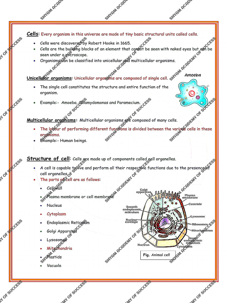 Cell Notes | PDF