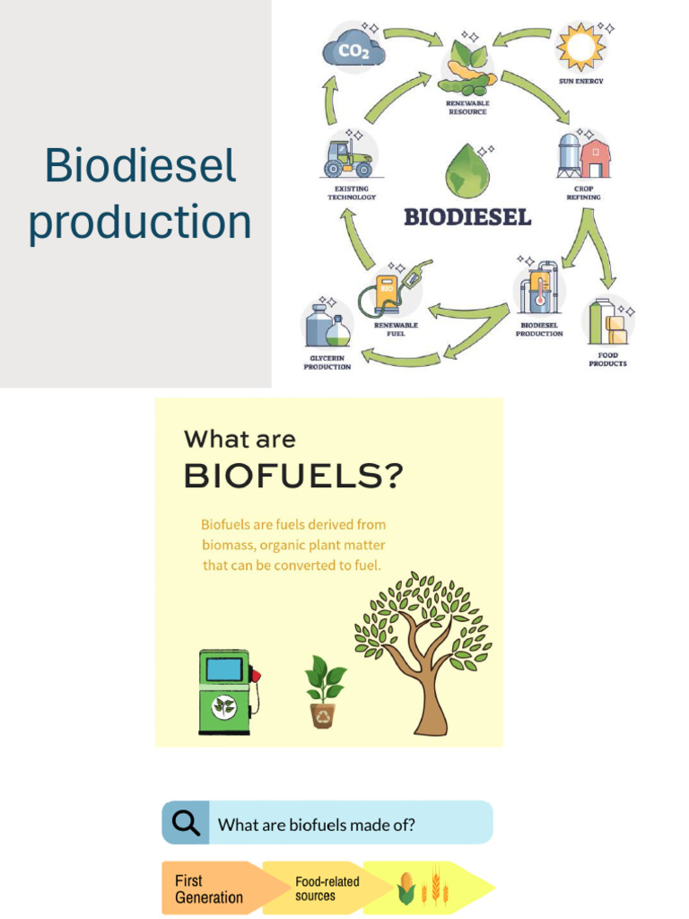 Biodiesel Production Process Overview | PDF