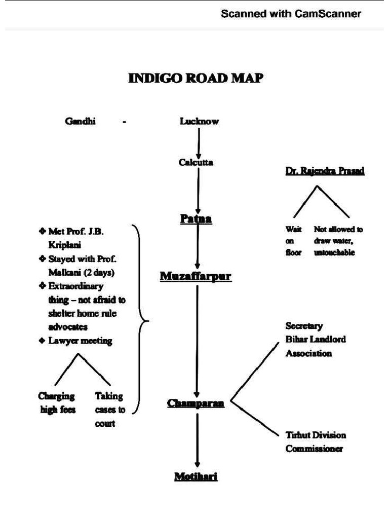 Recap Webchart of INDIGO | PDF