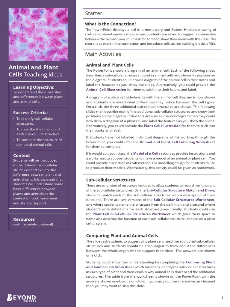 Comparing Plant and Animal Cells | PDF | Learning | Cognition
