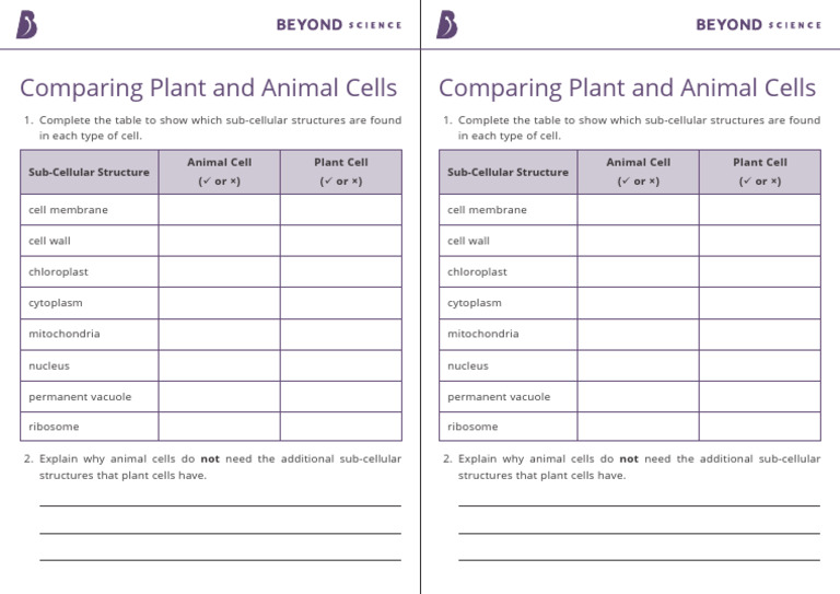 Plant vs Animal Cells Comparison Table | PDF