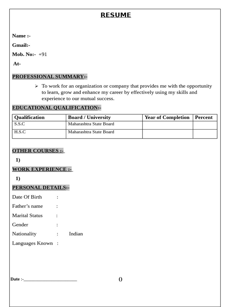 Professional Resume Template | PDF