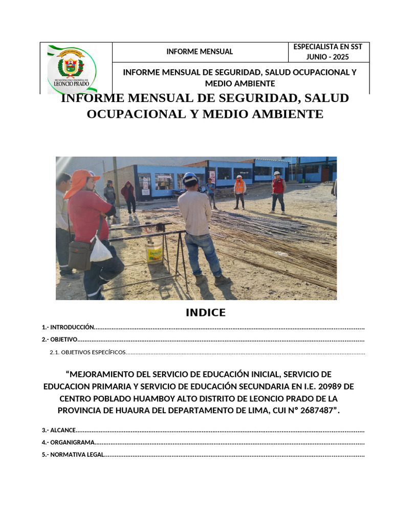 Informe Mensual SST Junio 2025 | PDF | Seguridad y salud ocupacional | Lima