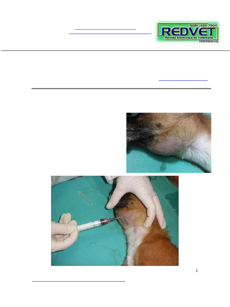 Ránula y mucocele en perros: caso clínico | PDF | Enfermedades y ...