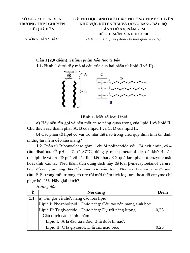 HDC Sinh 10 | PDF