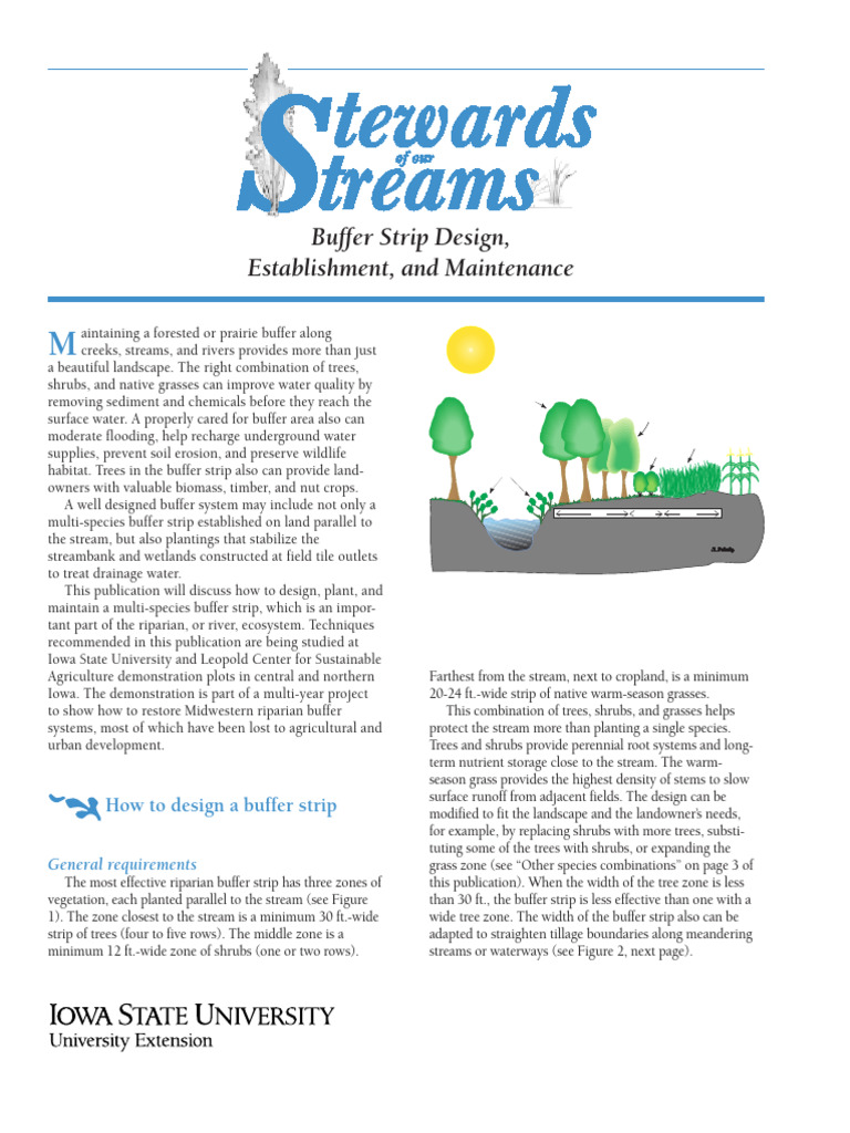 Designing Effective Riparian Buffer Strips | PDF | Riparian Zone | Weed