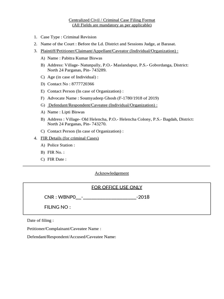 Centralized Criminal Case Filing Format | PDF