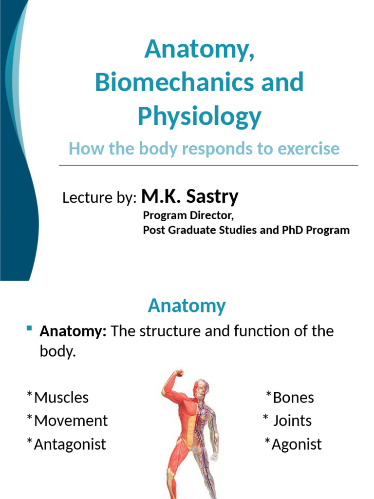 Anatomy, Biomechanics and Physiology | PDF | Anatomical Terms Of Motion ...
