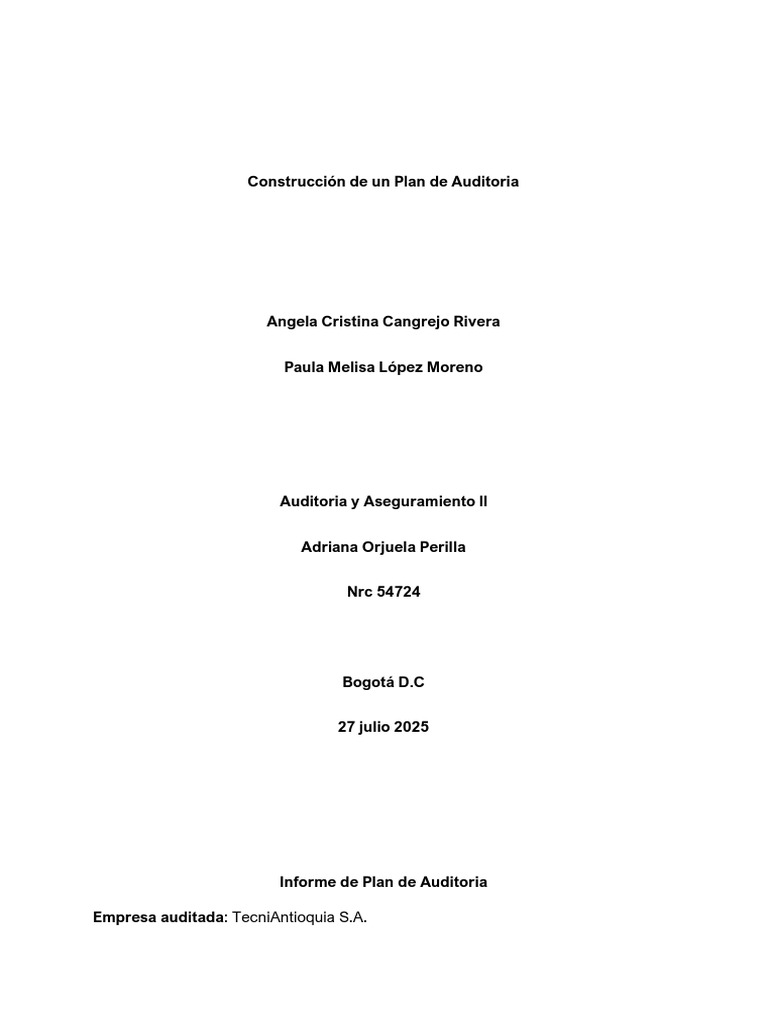 Plan de Auditoría para TecniAntioquia S.A. | PDF | Auditoría | Estado ...