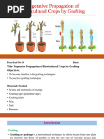 Grafting Techniques in Agriculture Explained | PDF | Grafting ...