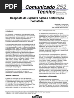 Resposta de Cajanus cajan à Fertilização Fosfatada