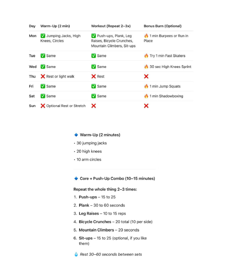 Workout Plan | PDF