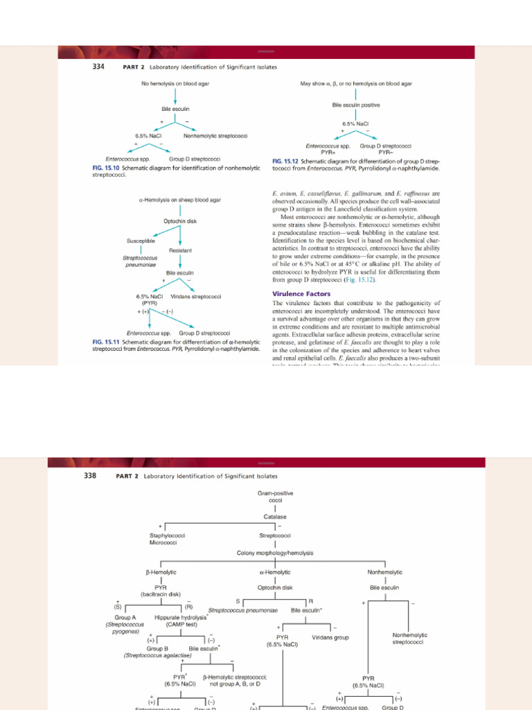Algorithm Charts Mahon | PDF
