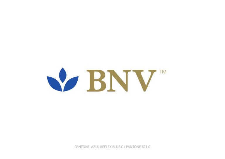 BNV - Logo Vector | PDF