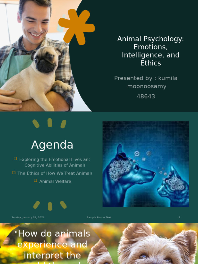 Understanding Animal Emotions and Ethics | PDF | Empathy | Emotions