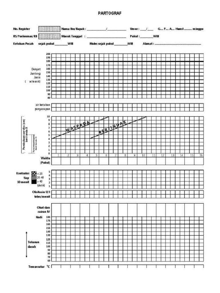Lembar Partograf | PDF
