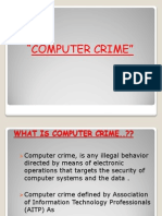 Computer Crime (Repaired)