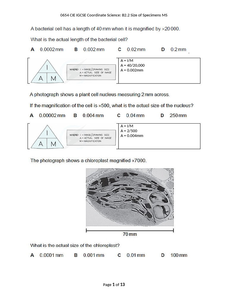 Size of Specimens in IGCSE Science | PDF