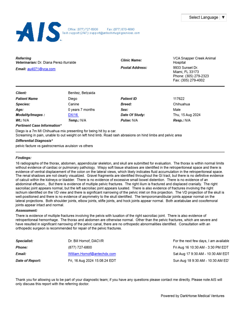 Benitez-Diego 2024-08-17 Vet Specialist Report | PDF | Pelvis | Abdomen