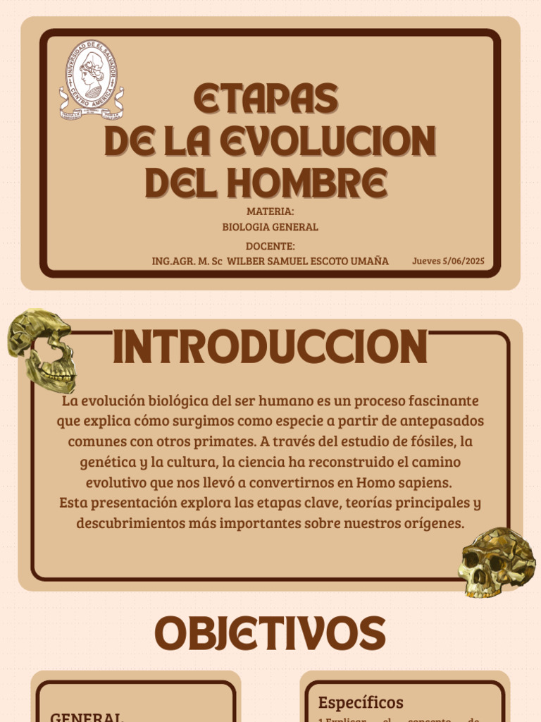 Etapas de la Evolución Humana | PDF | Homo | Evolución