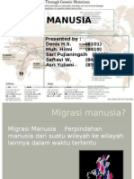 Migrasi Manusia 2