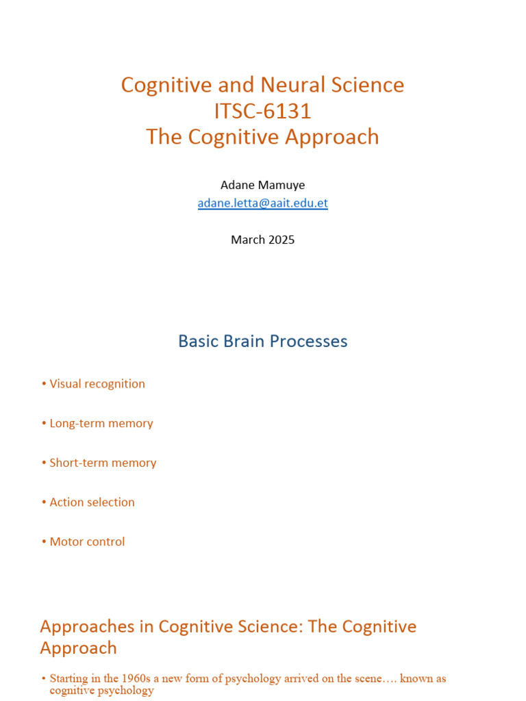 Cognitive And Neural Science Pdf Attention Memory