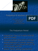 Postpartum Physical Assessment