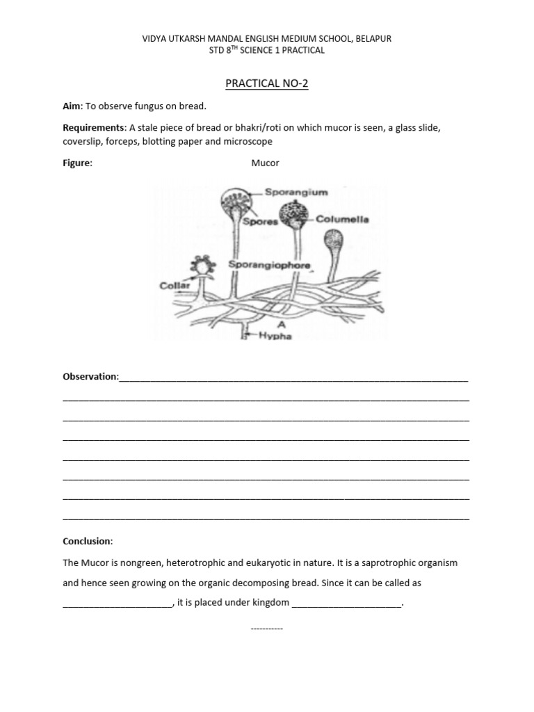 Science - 8th Pr. No.2 | PDF