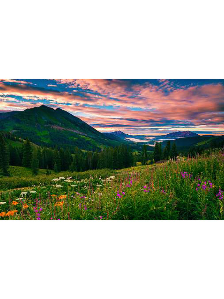 Istockphoto 514990693 170667a | PDF