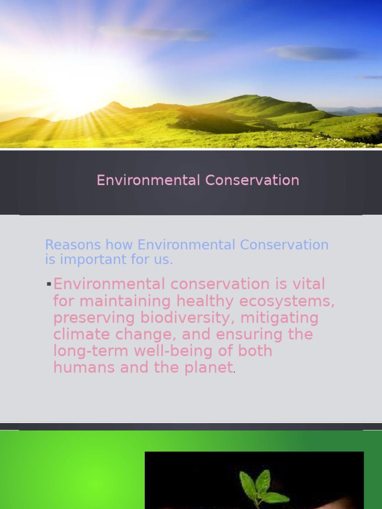 Environmental Conservation | PDF