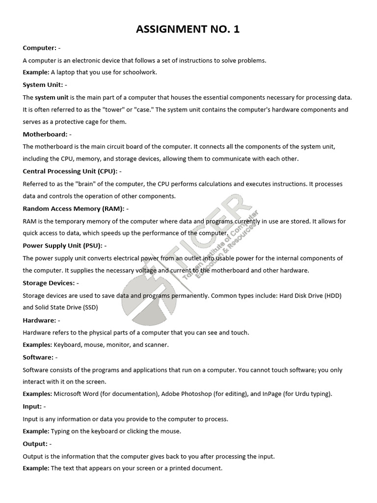 Computer Hardware Assignment Overview | PDF