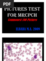 MRCPCH Developmental Milestones Guide | PDF | Language Arts & Discipline