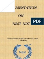 Nest NDT