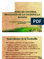 Control Biologic o Cochin Ill a Rosada
