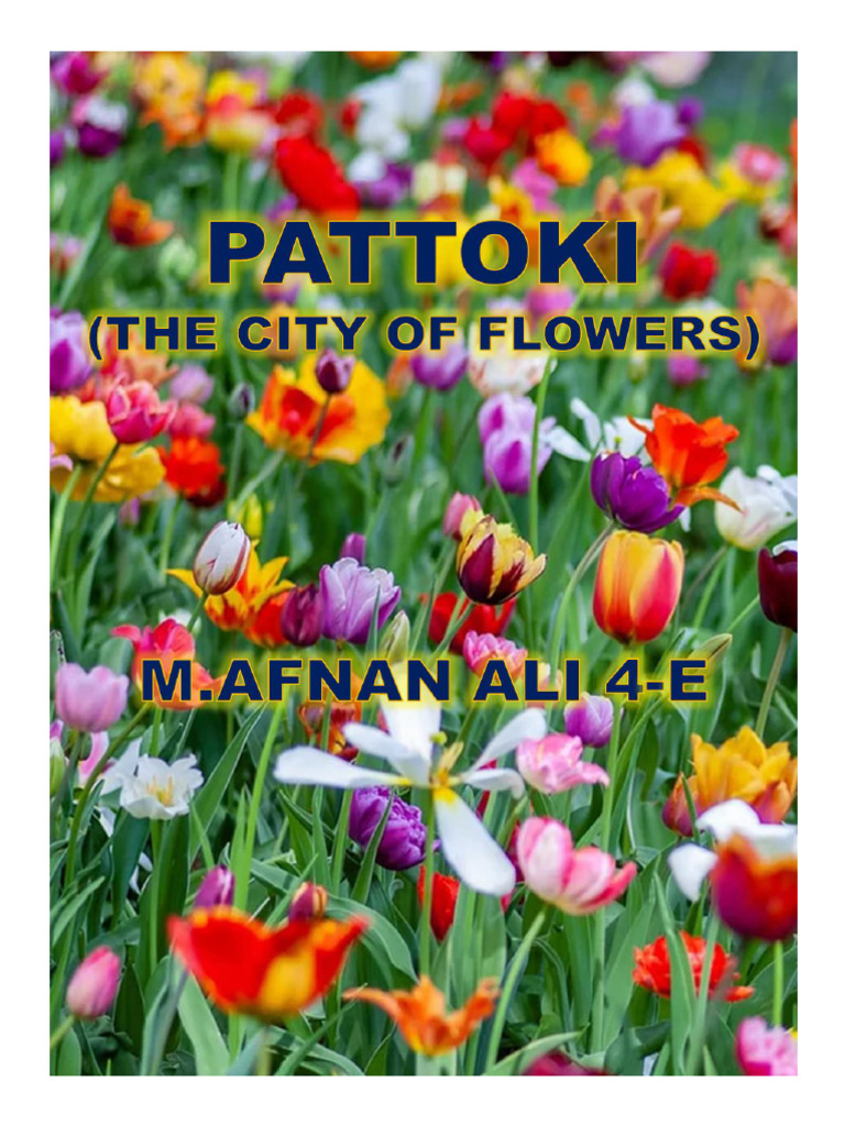 Pattoki: Pakistan's Flower Capital | PDF