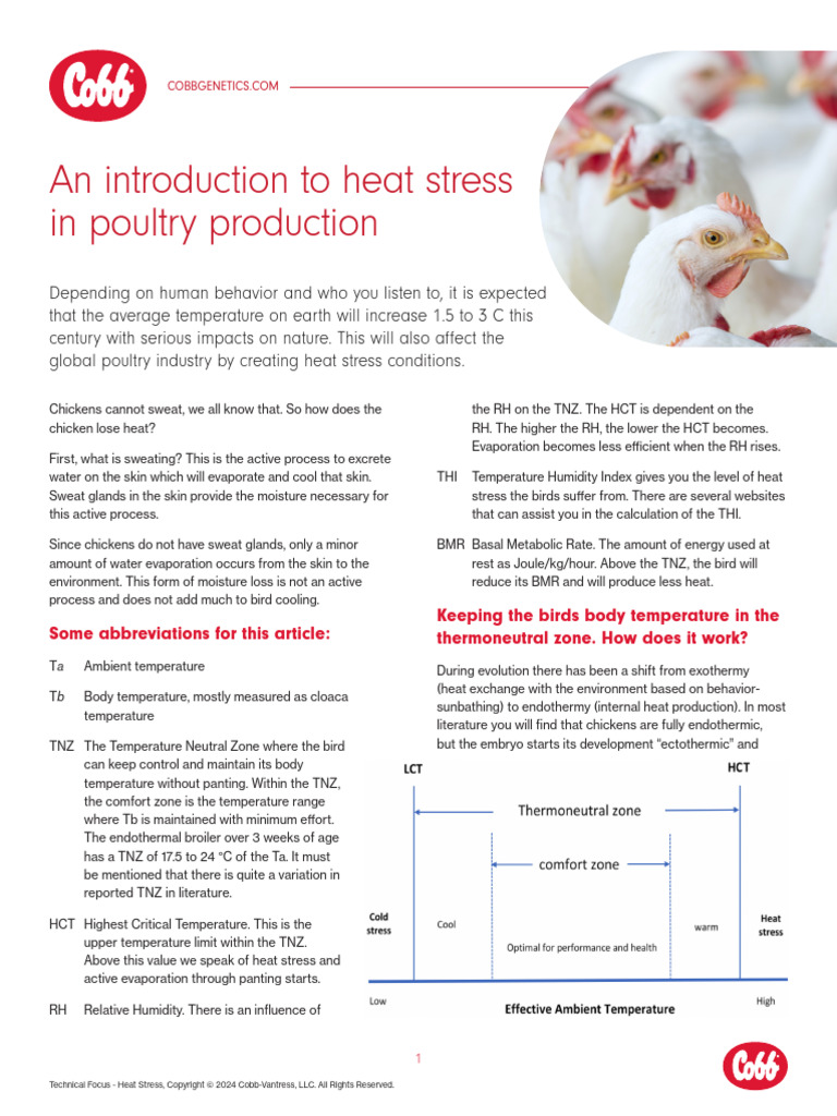 Managing Poultry Heat Stress | PDF | Thermoregulation | Heat Transfer