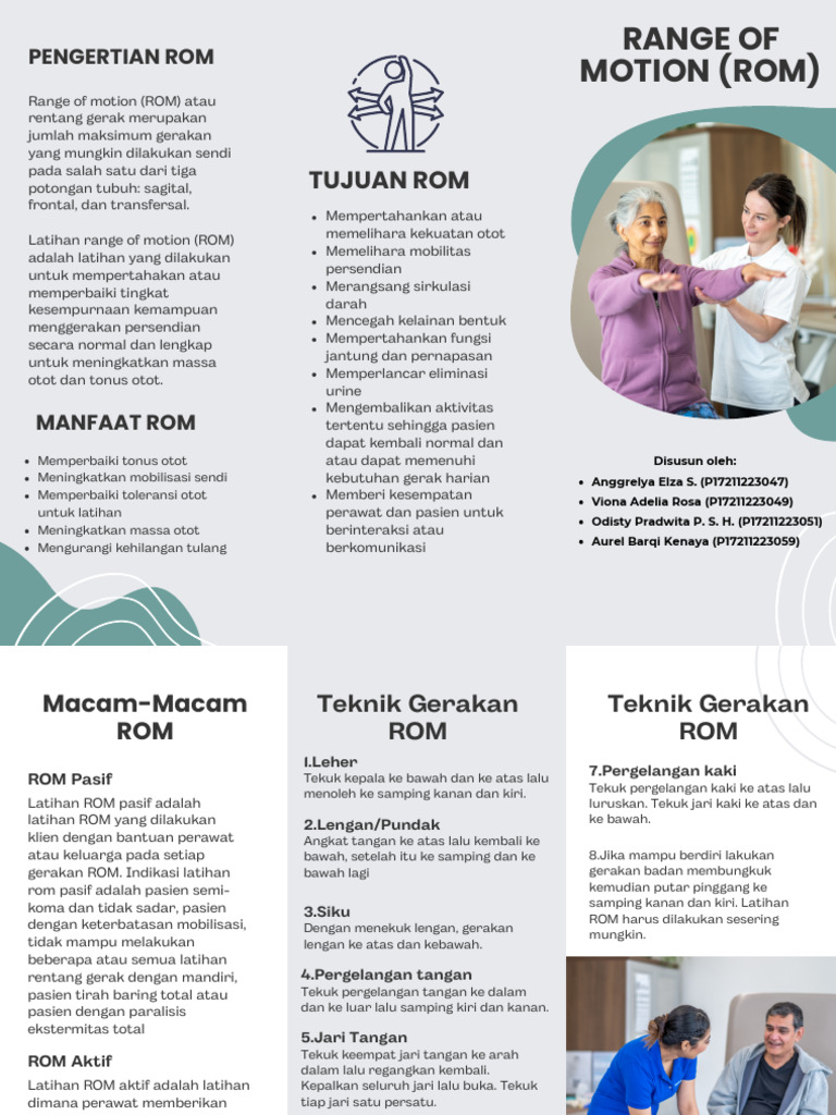 Rom Leaflet | PDF