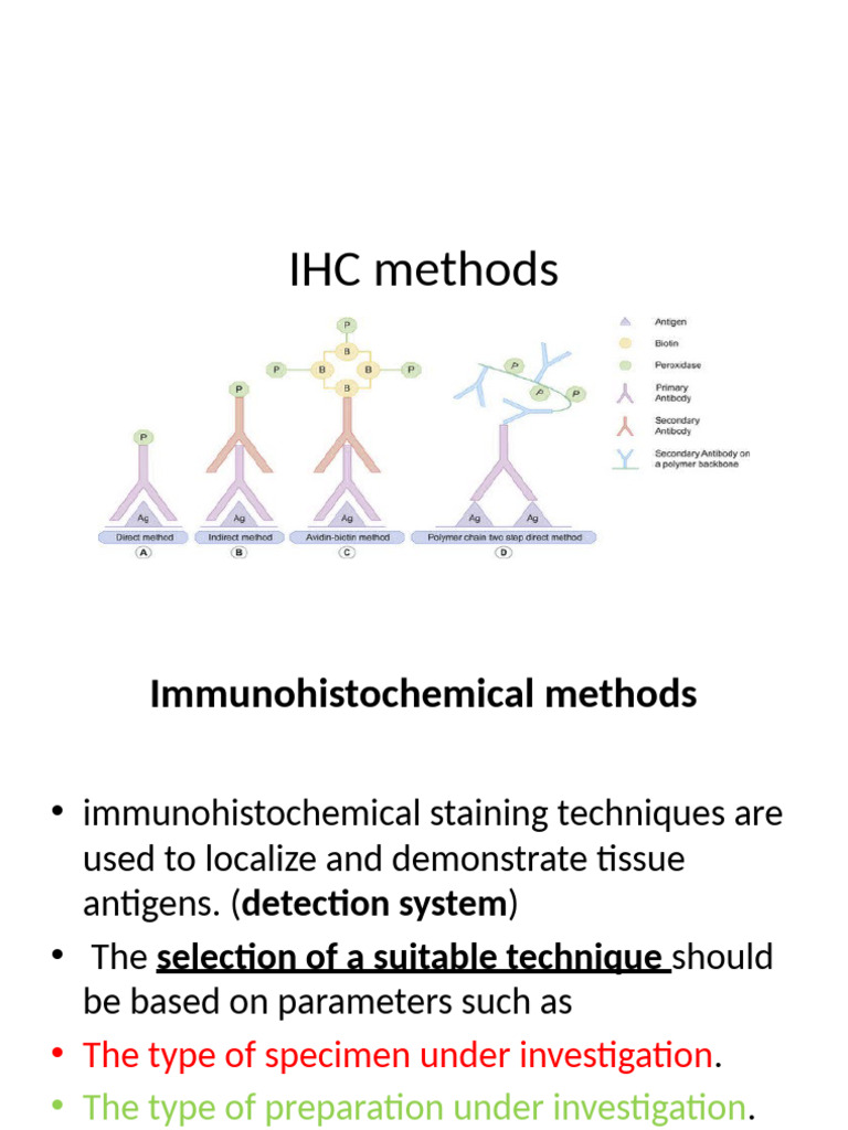 4 IHC Methods-1 | PDF | Immunohistochemistry | Biotechnology