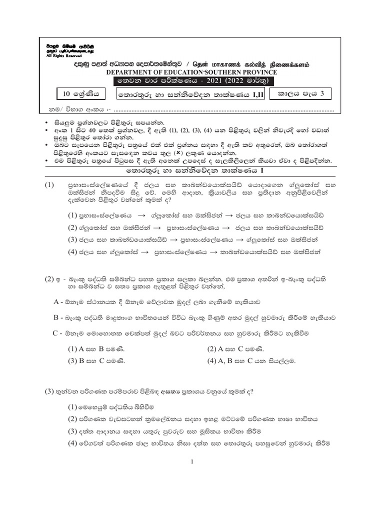 Grade 10 ICT 3rd Term Test Papers | PDF