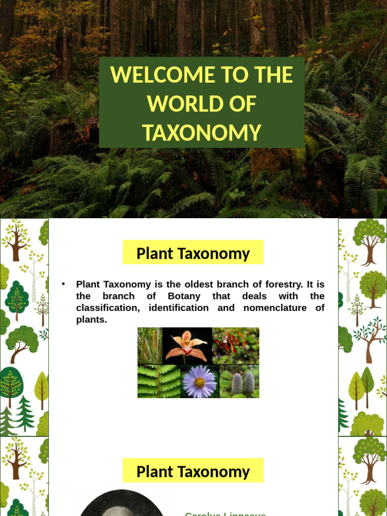 Overview of Plant Taxonomy Basics | PDF | Taxonomy (Biology) | Genus