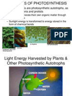 The Basics of Photosynthesis: - Almost All Plants Are Photosynthetic Autotrophs, As Are Some Bacteria and Protists