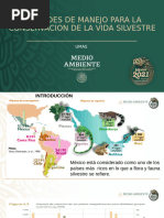 Plan de Manejo para UMAs y PIMVs | PDF | Entorno natural | Conservación