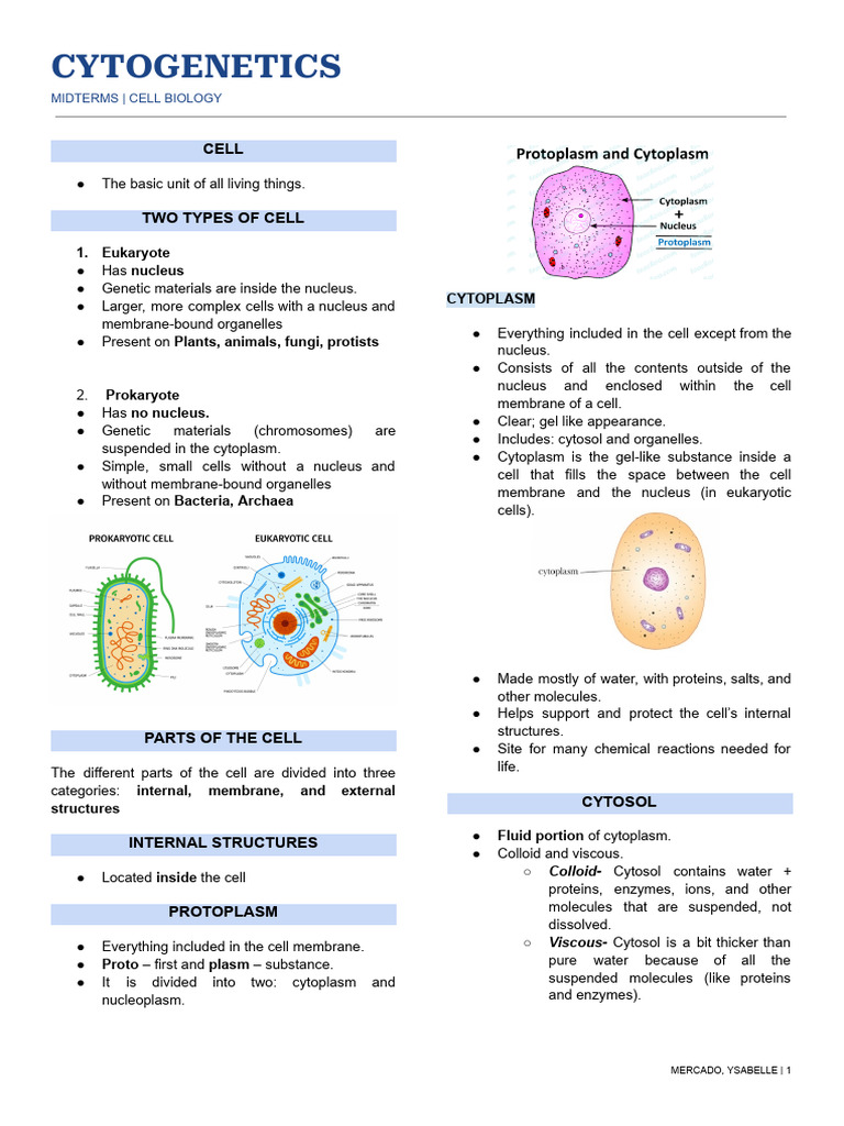 Cell Biology: Eukaryotes vs. Prokaryotes | PDF | Cell (Biology ...