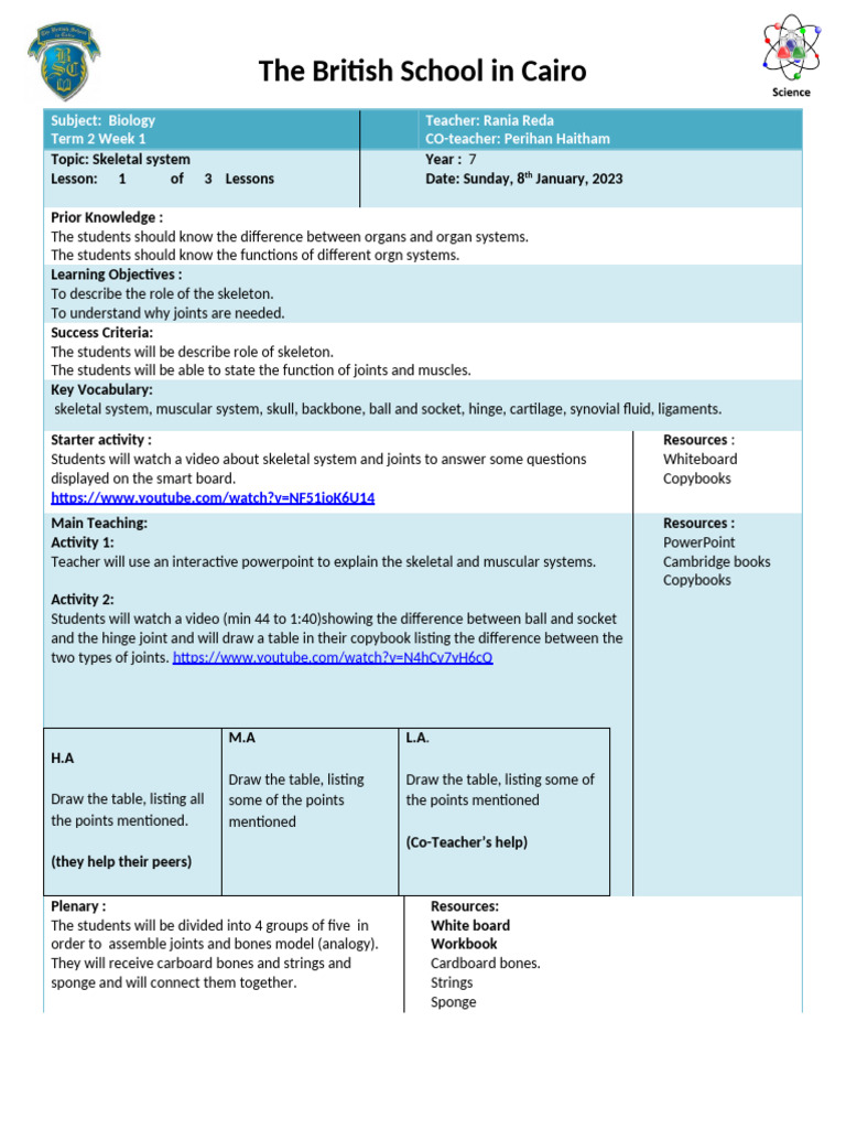 Skeletal System Lesson Plan for Year 7 | PDF | Skeleton | Joint